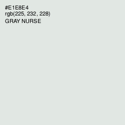 #E1E8E4 - Gray Nurse Color Image